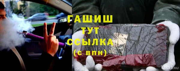 стаф Богданович