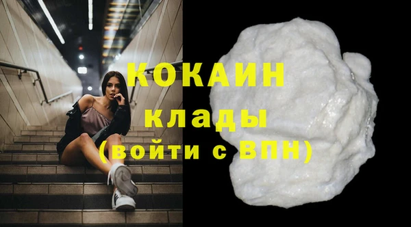 стаф Богданович