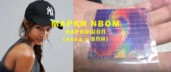 стаф Богданович