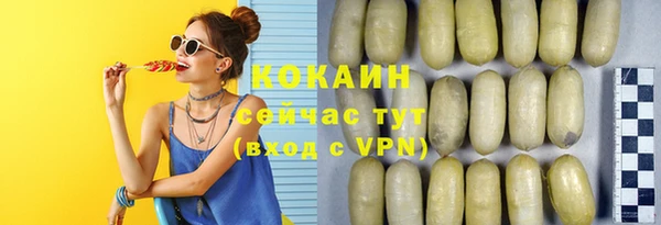 стаф Богданович
