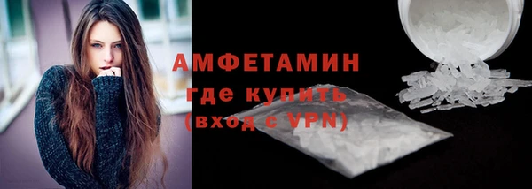 стаф Богданович