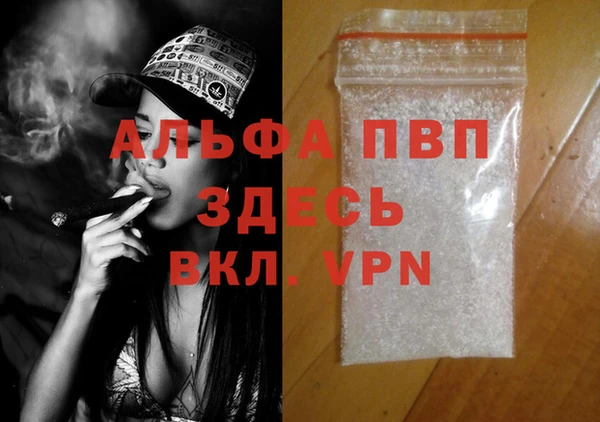 стаф Богданович