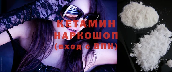 стаф Богданович