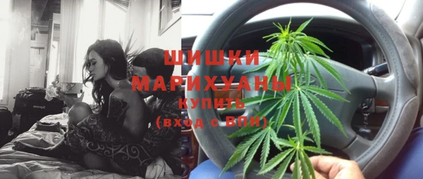 стаф Богданович