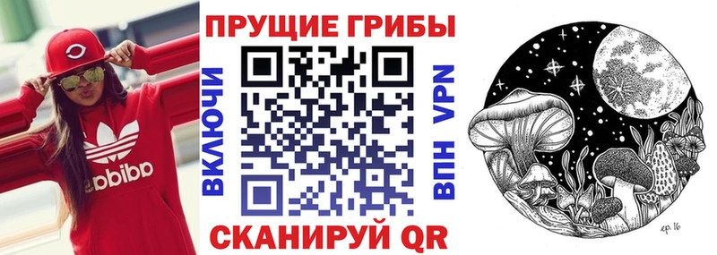 Купить  Сортавала  Псилоцибиновые грибы Psilocybine cubensis 